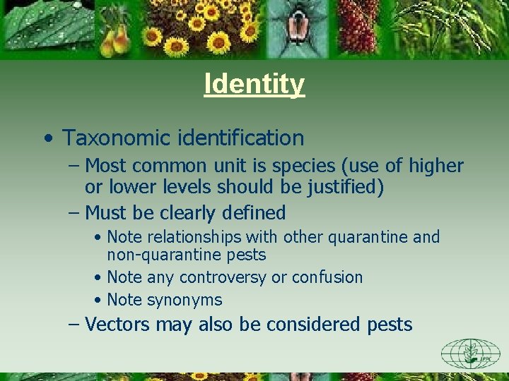 Identity • Taxonomic identification – Most common unit is species (use of higher or