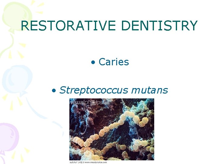 RESTORATIVE DENTISTRY • Caries • Streptococcus mutans 