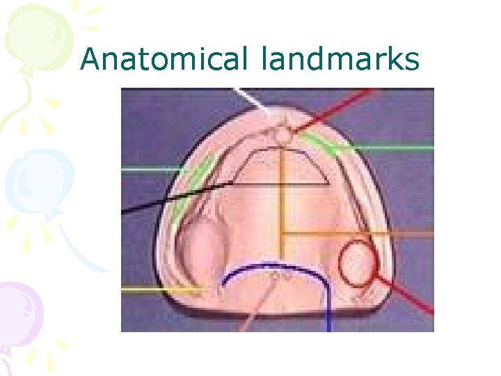 Anatomical landmarks 