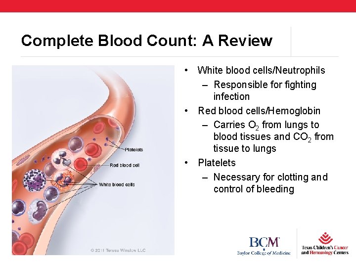 Complete Blood Count: A Review • White blood cells/Neutrophils – Responsible for fighting infection