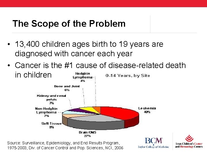 The Scope of the Problem • 13, 400 children ages birth to 19 years