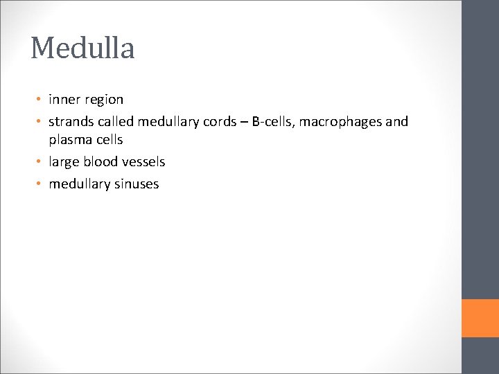 Medulla • inner region • strands called medullary cords – B-cells, macrophages and plasma