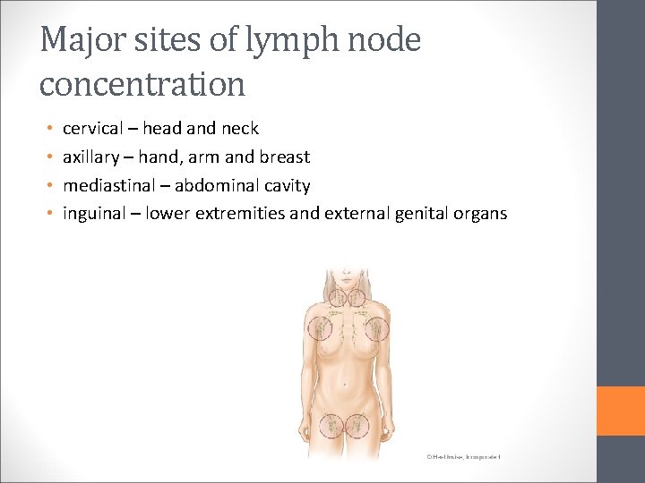 Major sites of lymph node concentration • • cervical – head and neck axillary