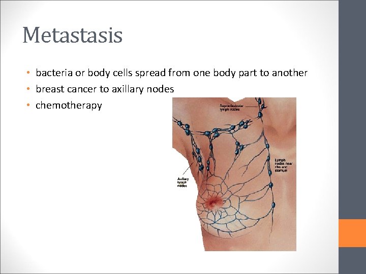Metastasis • bacteria or body cells spread from one body part to another •