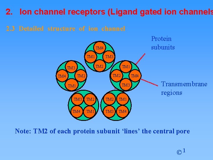 2. Ion channel receptors (Ligand gated ion channels 2. 3 Detailed structure of ion
