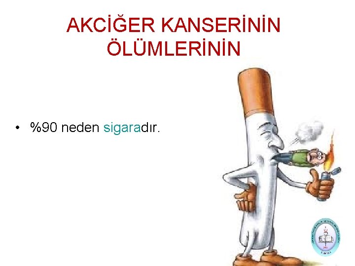 AKCİĞER KANSERİNİN ÖLÜMLERİNİN • %90 neden sigaradır. 