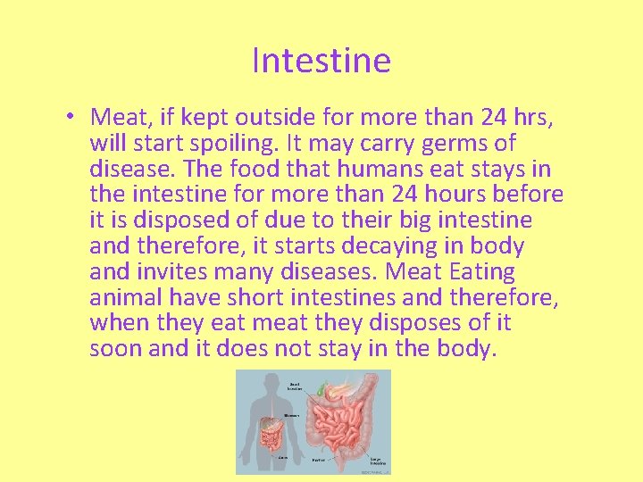 Intestine • Meat, if kept outside for more than 24 hrs, will start spoiling.