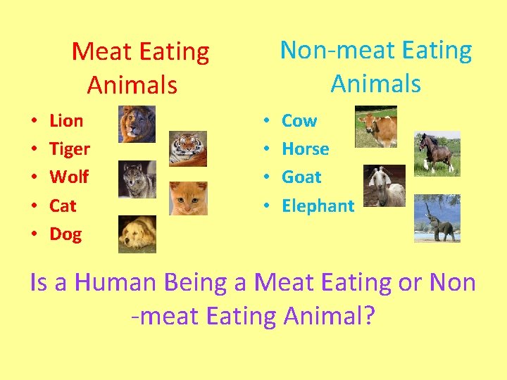 Non-meat Eating Animals Meat Eating Animals • • • Lion Tiger Wolf Cat Dog