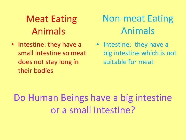 Meat Eating Animals • Intestine: they have a small intestine so meat does not