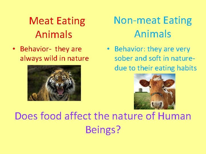 Meat Eating Animals • Behavior- they are always wild in nature Non-meat Eating Animals