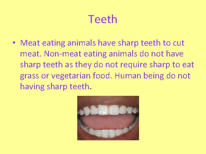 Teeth • Meat eating animals have sharp teeth to cut meat. Non-meat eating animals