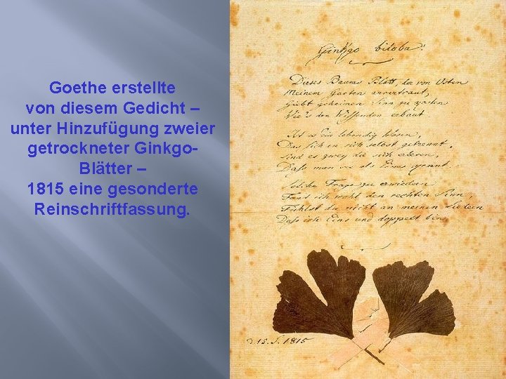 Goethe erstellte von diesem Gedicht – unter Hinzufügung zweier getrockneter Ginkgo. Blätter – 1815