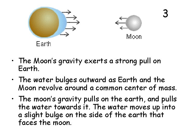 3 • The Moon’s gravity exerts a strong pull on Earth. • The water