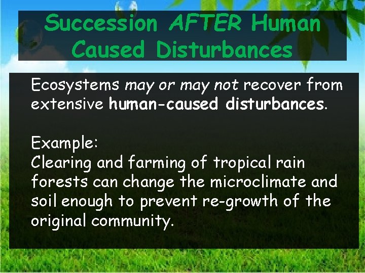 Succession Daily Objectives Describe How Ecosystems Recover From