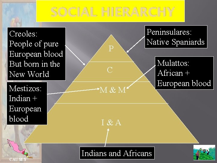 SOCIAL HIERARCHY Creoles: People of pure European blood But born in the New World