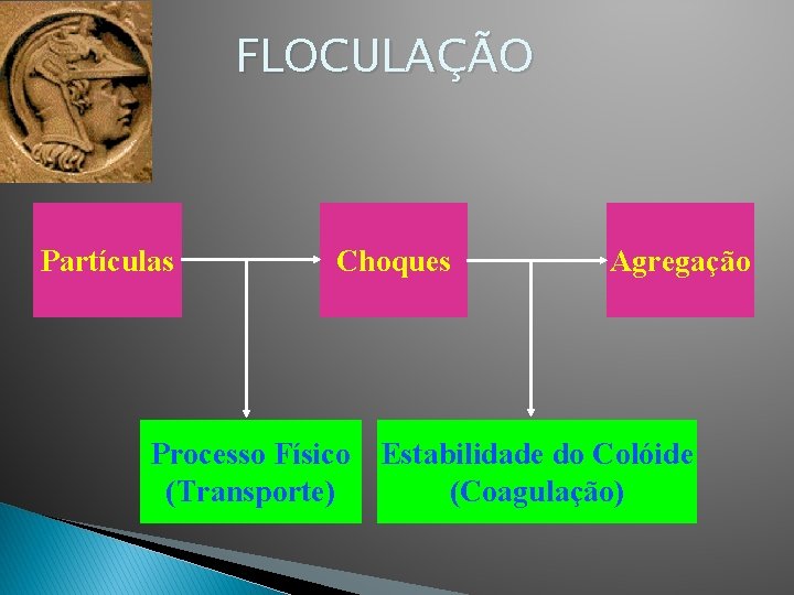 FLOCULAÇÃO Partículas Choques Agregação Processo Físico Estabilidade do Colóide (Transporte) (Coagulação) 