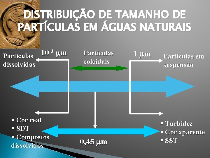 DISTRIBUIÇÃO DE TAMANHO DE PARTÍCULAS EM ÁGUAS NATURAIS -3 m 10 Partículas dissolvidas §