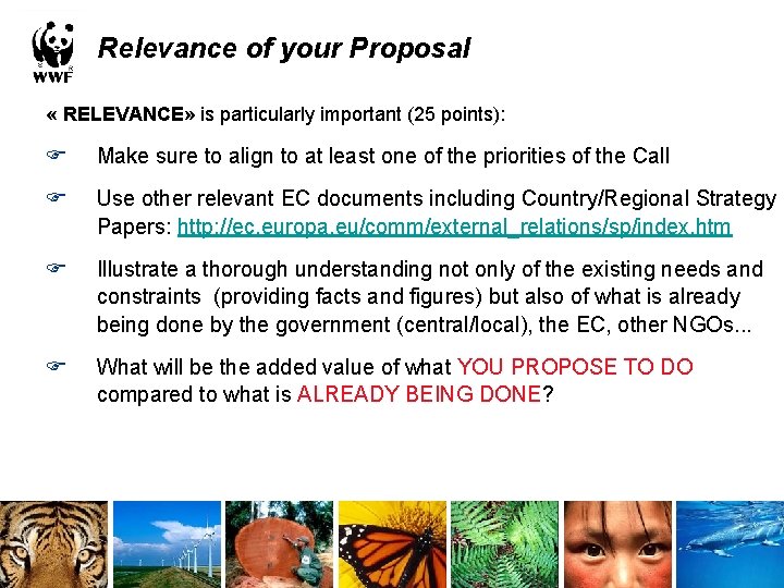 Relevance of your Proposal « RELEVANCE» is particularly important (25 points): F Make sure