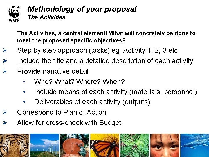 Methodology of your proposal The Activities, a central element! What will concretely be done