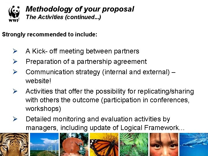 Methodology of your proposal The Activities (continued. . . ) Strongly recommended to include: