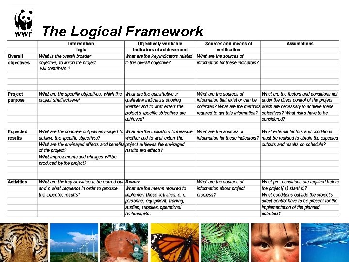 The Logical Framework Preparation and signing of contracts Project Implementation 