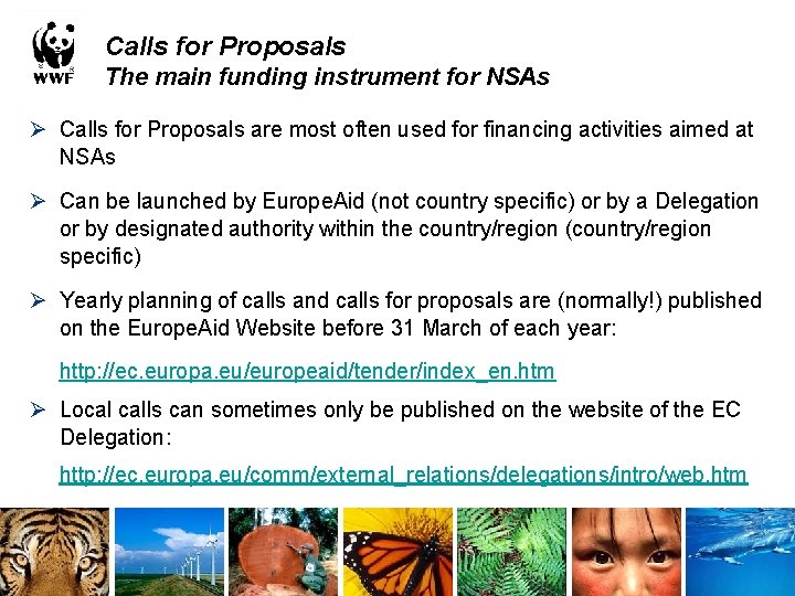 Calls for Proposals The main funding instrument for NSAs Ø Calls for Proposals are