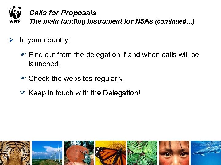 Calls for Proposals The main funding instrument for NSAs (continued…) Ø In your country: