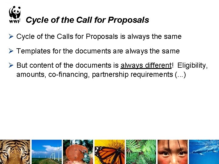 Cycle of the Call for Proposals Ø Cycle of the Calls for Proposals is