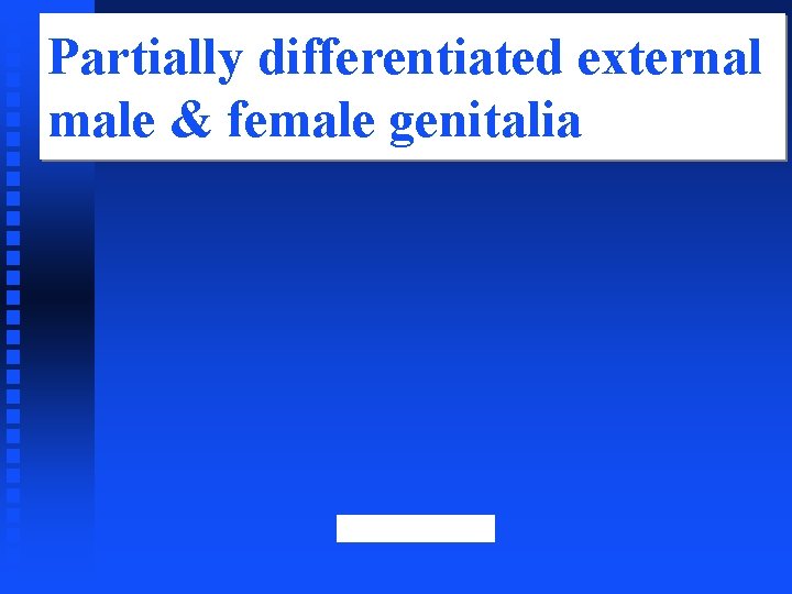 Partially differentiated external male & female genitalia 