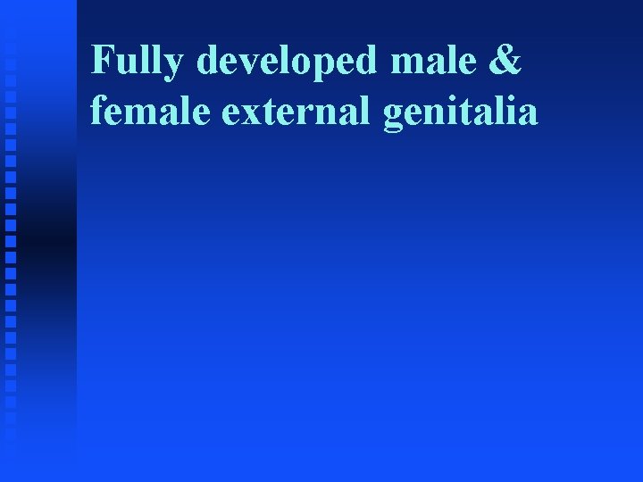 Fully developed male & female external genitalia 