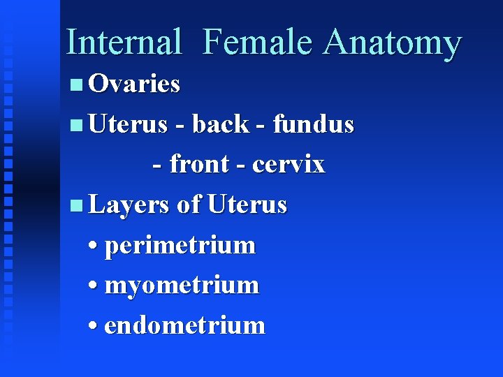 Internal Female Anatomy Ovaries Uterus - back - fundus - front - cervix Layers