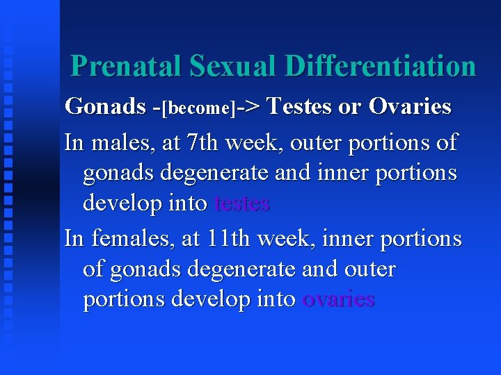 Prenatal Sexual Differentiation Gonads -[become]-> Testes or Ovaries In males, at 7 th week,