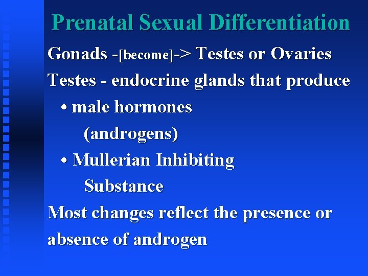 Prenatal Sexual Differentiation Gonads -[become]-> Testes or Ovaries Testes - endocrine glands that produce