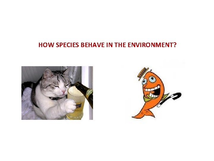 HOW SPECIES BEHAVE IN THE ENVIRONMENT? 