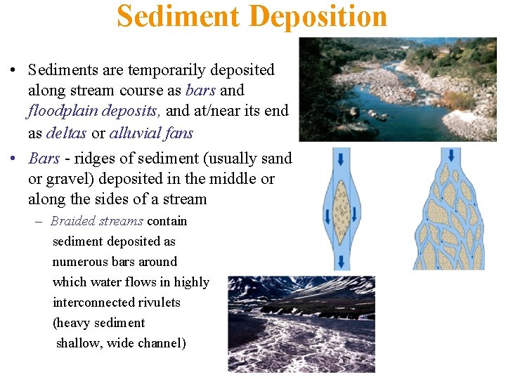 Sediment Deposition • Sediments are temporarily deposited along stream course as bars and floodplain