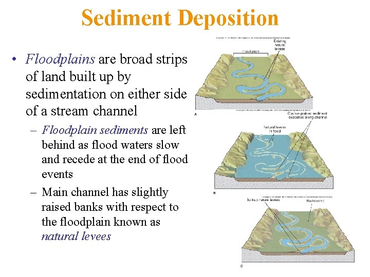 Sediment Deposition • Floodplains are broad strips of land built up by sedimentation on