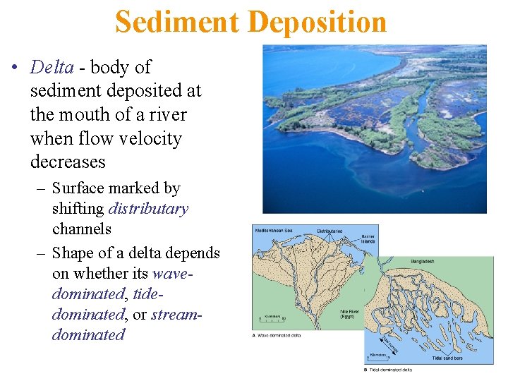 Sediment Deposition • Delta - body of sediment deposited at the mouth of a Sediment Deposition • Delta - body of sediment deposited at the mouth of a