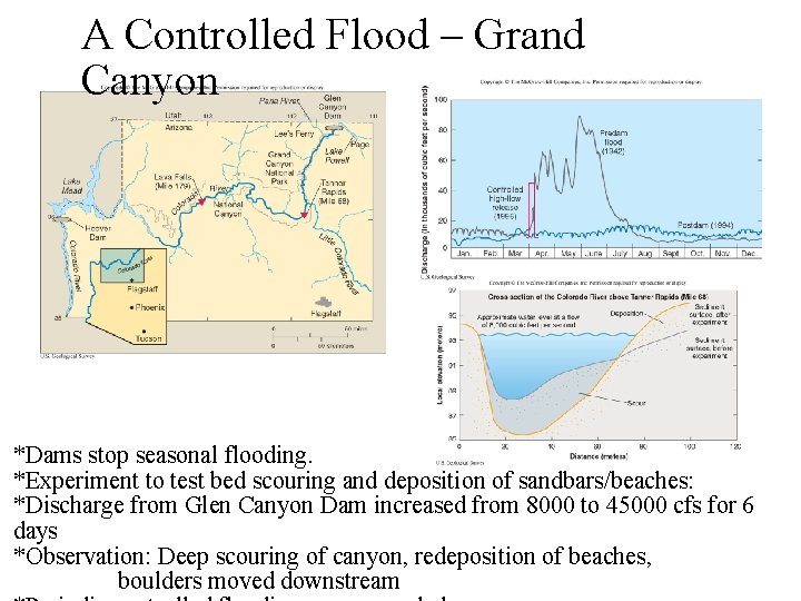 A Controlled Flood – Grand Canyon *Dams stop seasonal flooding. *Experiment to test bed