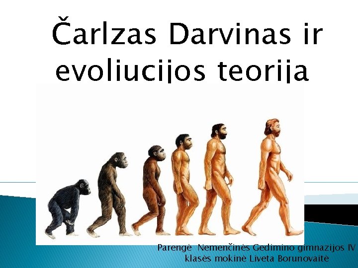 Čarlzas Darvinas ir evoliucijos teorija Parengė Nemenčinės Gedimino gimnazijos IV klasės mokinė Liveta Borunovaitė
