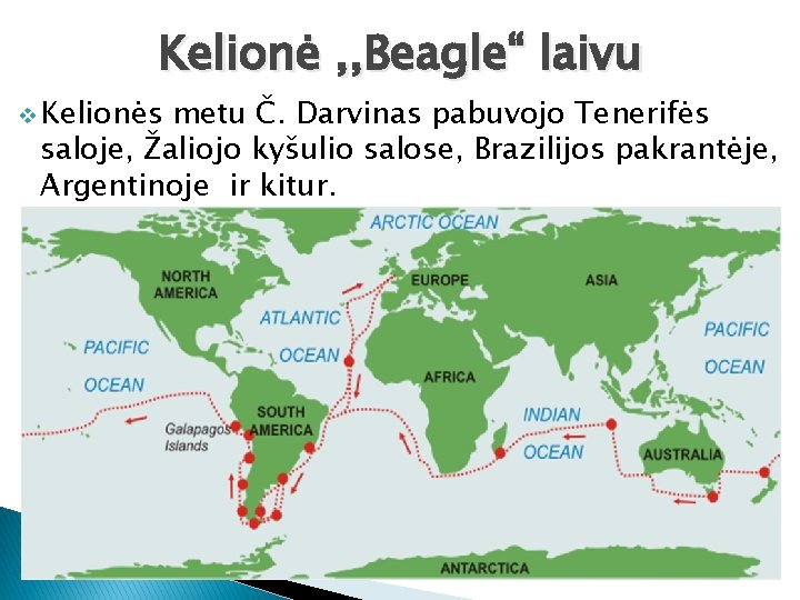 Kelionė , , Beagle“ laivu v Kelionės metu Č. Darvinas pabuvojo Tenerifės saloje, Žaliojo