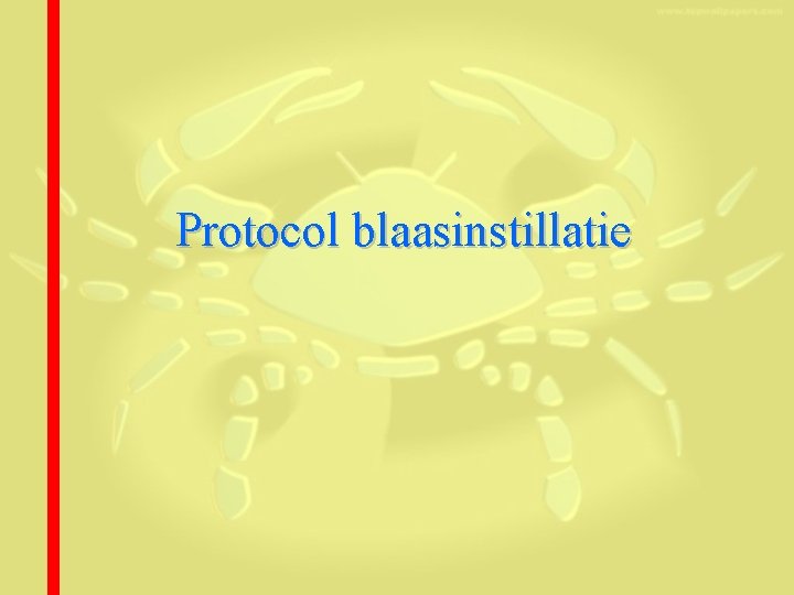 Protocol blaasinstillatie 