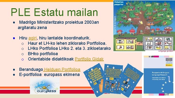 PLE Estatu mailan ● Madrilgo Ministeritzako proiektua 2003 an argitaratu zena ● Hiru agiri,