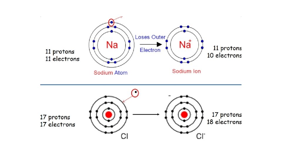 Cation 11 Na 11 protons 11 electrons 11 Na+ 11 protons 10 electrons anion