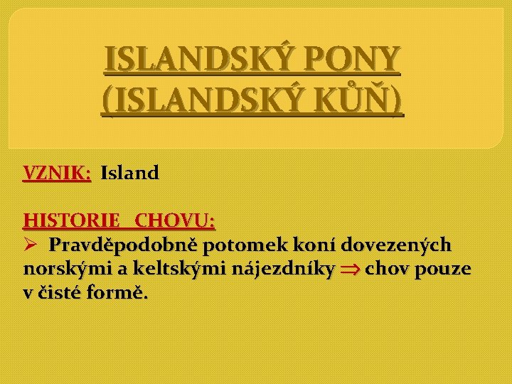 ISLANDSKÝ PONY (ISLANDSKÝ KŮŇ) VZNIK: Island HISTORIE CHOVU: Ø Pravděpodobně potomek koní dovezených norskými