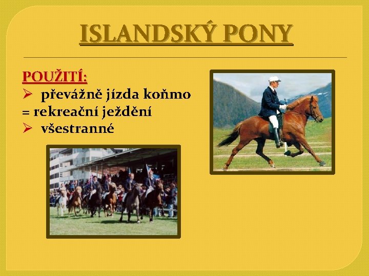 ISLANDSKÝ PONY POUŽITÍ: Ø převážně jízda koňmo = rekreační ježdění Ø všestranné 