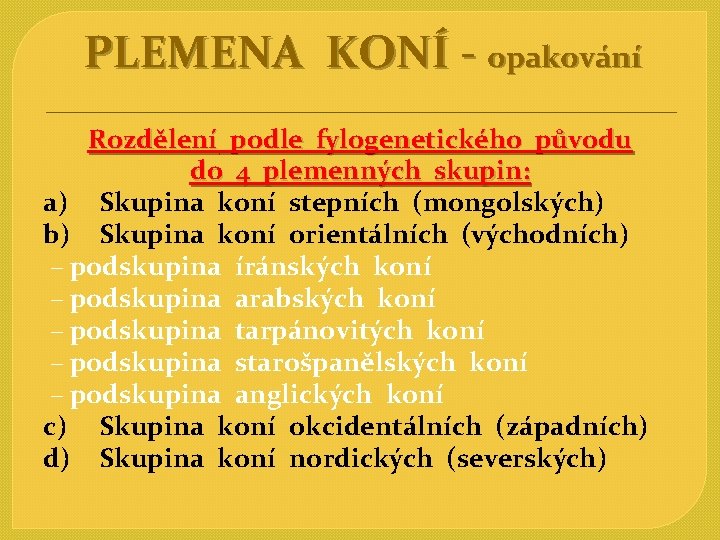 PLEMENA KONÍ - opakování Rozdělení podle fylogenetického původu do 4 plemenných skupin: a) Skupina