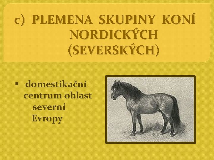 c) PLEMENA SKUPINY KONÍ NORDICKÝCH (SEVERSKÝCH) § domestikační centrum oblast severní Evropy 