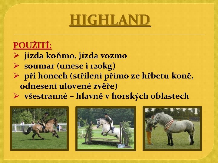 HIGHLAND POUŽITÍ: Ø jízda koňmo, jízda vozmo j Ø soumar (unese i 120 kg)