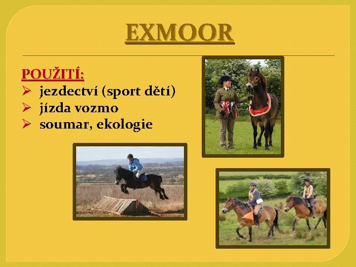 EXMOOR POUŽITÍ: Ø jezdectví (sport dětí) Ø jízda vozmo Ø soumar, ekologie 