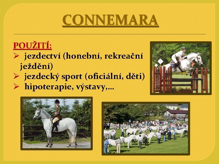 CONNEMARA POUŽITÍ: Ø jezdectví (honební, rekreační ježdění) Ø jezdecký sport (oficiální, děti) Ø hipoterapie,